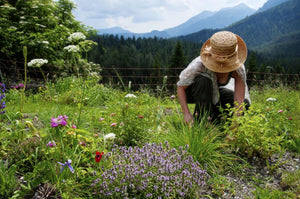 The World’s Debt to the Biosphere: 90 Percent of all Healing Comes from Nature